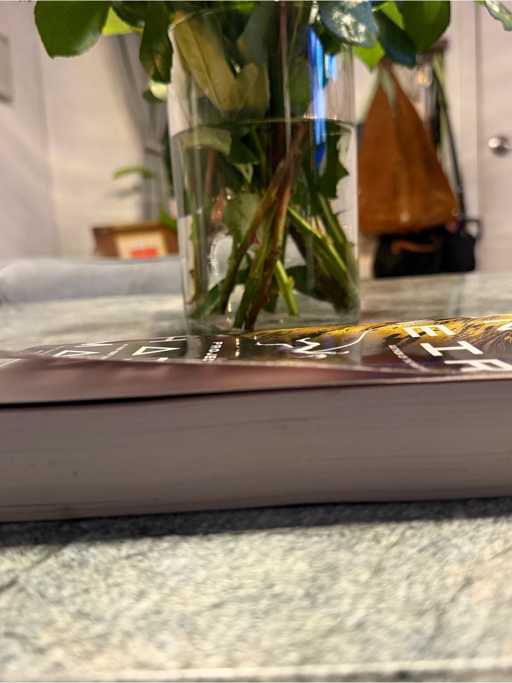 Andy Weir - Project Hail Mary (Black & Gold Cover) - Picture 2 of 2